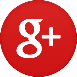 Google+ icon